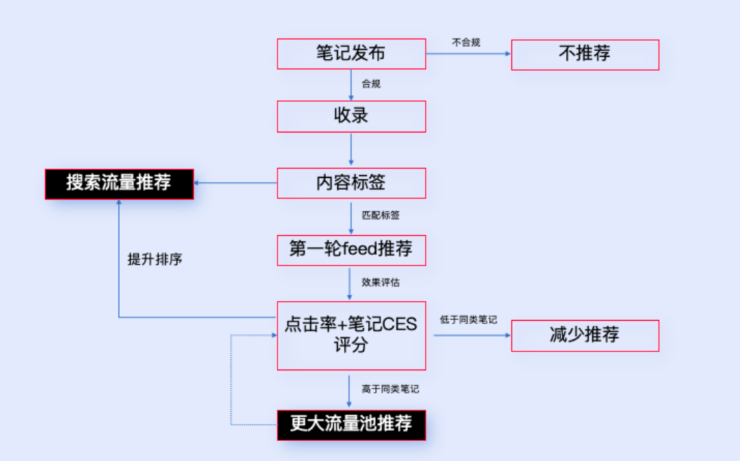 小红书、抖音、视频号流量算法机制解析，建议收藏（2025版）